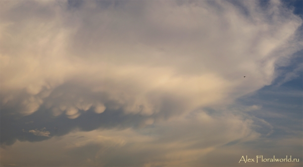 Летнее небо после дождя
Ключевые слова: лето облака фото