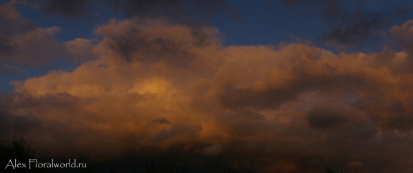 Осеннее небо
Ключевые слова: осень облака фото