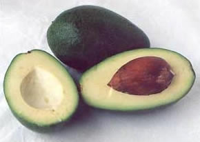 фото плодов авокадо