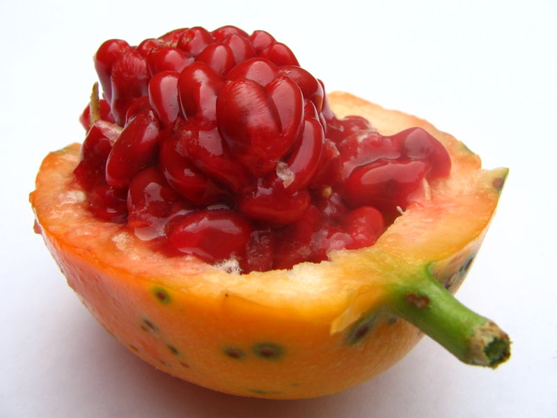 Экзотические фрукты Passiflora_caerulea_fruit_2