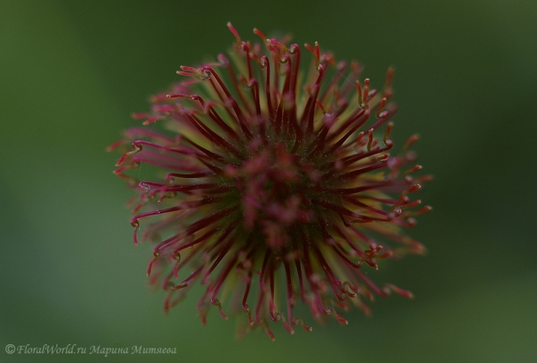 uknow_2008-9-3.jpg