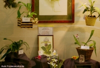 Имя файла=10_stend_orchids.jpg
Размер файла=233КБ
Размеры=886x608
Дата=Апр 03, 2009 10_stend_orchids.jpg