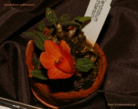 Имя файла=Dendrobium_cuthbertsonii_2-1.jpg
Размер файла=244КБ
Размеры=1000x793
Дата=Апр 02, 2009 Dendrobium_cuthbertsonii_2-1.jpg