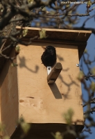 IMG_1846.jpg