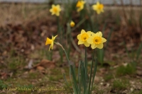 IMG_9805.jpg