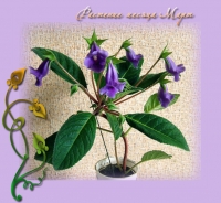 Имя файла=gloksinia_kukuska.jpg
Размер файла=169КБ
Размеры=652x603
Дата=Апр 01, 2010 gloksinia_kukuska.jpg