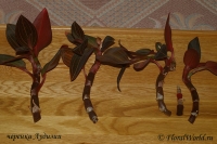 Имя файла=ludisia_shank-1.jpg
Размер файла=63КБ
Размеры=600x399
Дата=Март 11, 2009 ludisia_shank-1.jpg