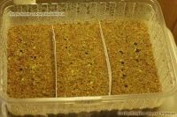 Имя файла=pseudolithos_seed_2-1.jpg
Размер файла=81КБ
Размеры=800x532
Дата=Сент 07, 2009 pseudolithos_seed_2-1.jpg