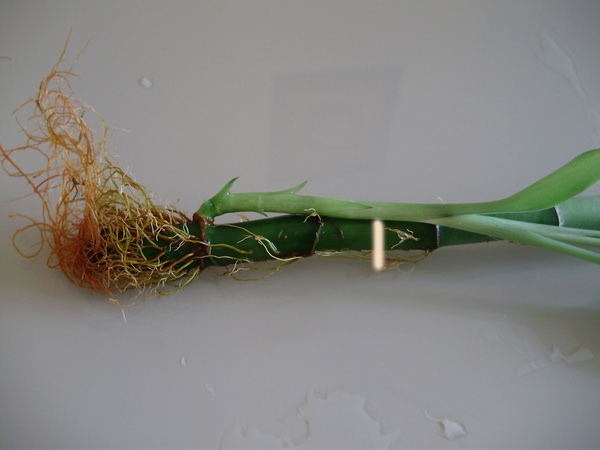 P9190040.jpg