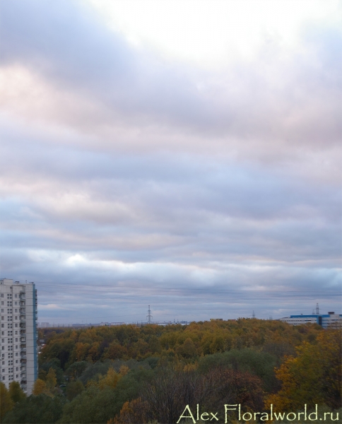 Осенний вечер в Москве
Ключевые слова: осень вечер Москва