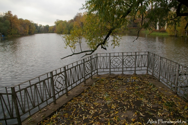 На ВДНХ
Ключевые слова: москва фото