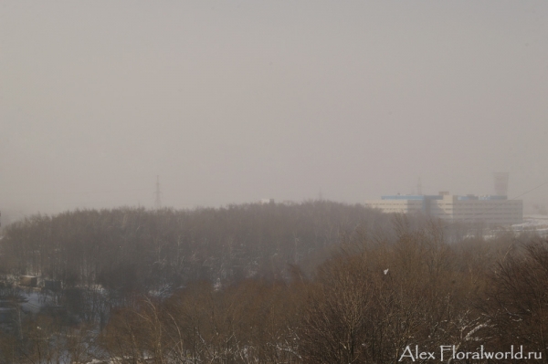 Морозная дымка в Москве
Ключевые слова: москва мороз фото