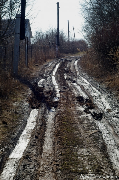 Дорога
Ключевые слова: дорога грязь