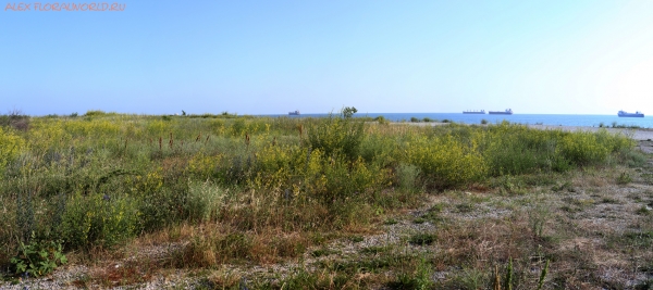 Берег моря возле с. Вольное
Ключевые слова: берег моря туапсе вольное