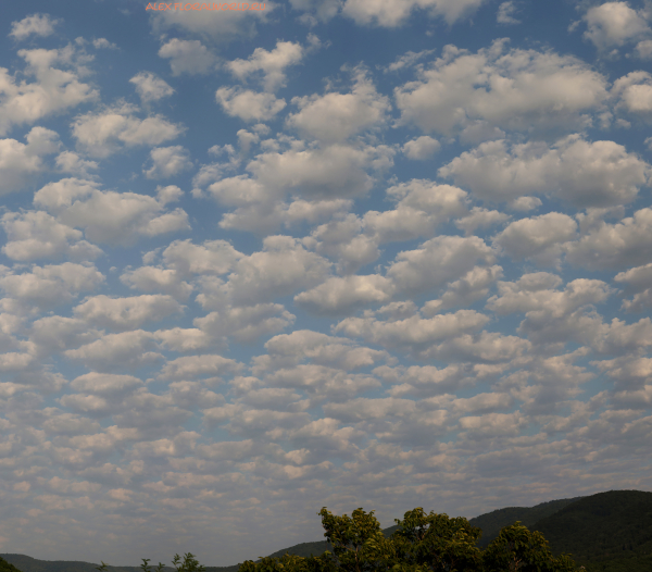 Altocumulus floccus
Ключевые слова: Altocumulus floccus