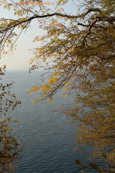 Море 
Ключевые слова: море