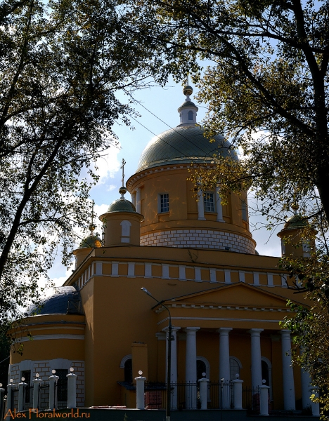 Кашира, собор
Ключевые слова: Кашира собор