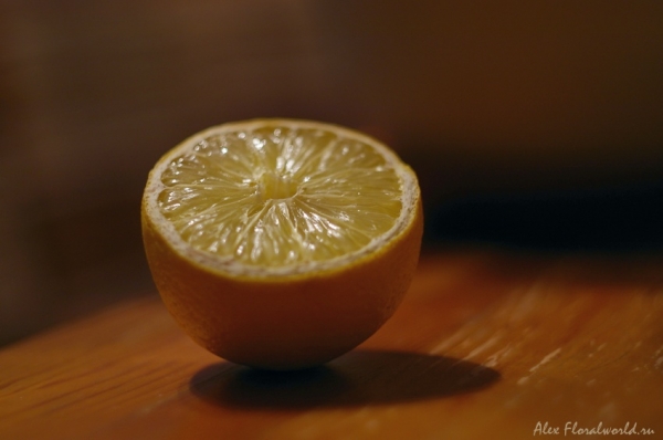 Лимончик
Ключевые слова: лимон стол кухня