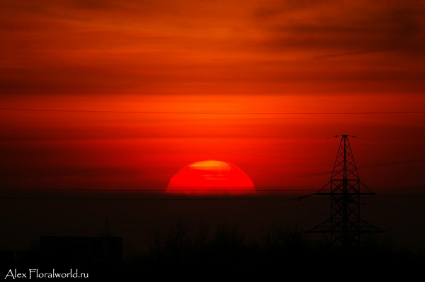 Закатное солнце, Москва, март.
Ключевые слова: закат солнце москва март