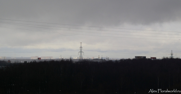 Nebo_2010_9.jpg