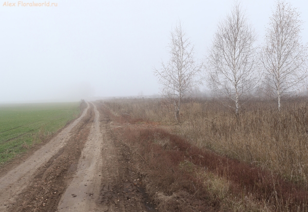 Pan_11_2014_19.jpg