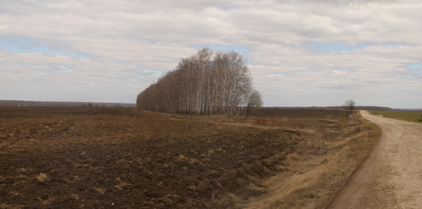 Весна 
Ключевые слова: весна фото