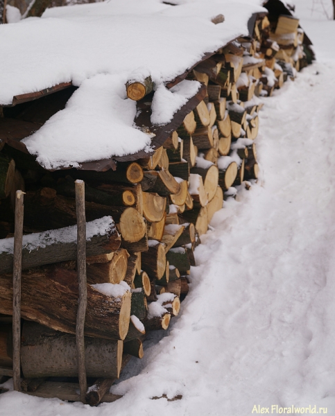 Зима, дрова для печки
Ключевые слова: зима фото
