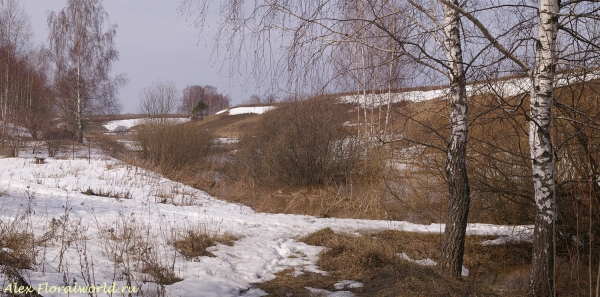Весна
Ключевые слова: весна фото