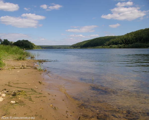 Но Оке
Ключевые слова: река ока вода песок лето