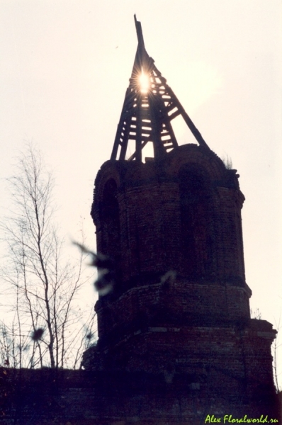 Колокольня
Фотография сделана в старом полуразрушенном храме. Села, окружавшего его, уже не осталось, только кусты сирени до кладбище напоминают о живших когда-то вокруг храма людях. На колокольне имелось большое гнездо хищных птиц - канюков.
Ключевые слова: колокольня храм церковь солнце