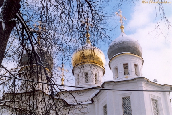 Храм в Узком
Имение "Узкое", расположенное в Москве недалеко от районов Ясенево и Теплый Стан, известно с начала XVI в., деревянный храм в нем - с 1641 г. Ныне существующий каменный храм Казанской иконы Божией Матери построен в 1698 г. боярином тихоном Стрешневым, дядей Петра I, в стиле московское барокко. Храм был закрыт в 1928 г., в нем было книгохранилище, возвращен Церкви в 1990, а богослужения возобновлены в 1992 г. Помню, в детстве с интересом заглядывал в окна храма - за окнами лежали большущие книги, судя по виду, старинные. Недалеко от храма имеется настоящая деревня - с дворами, деревенскими домами и садами. 
Ключевые слова: храм казанской иконы казанский Узкое