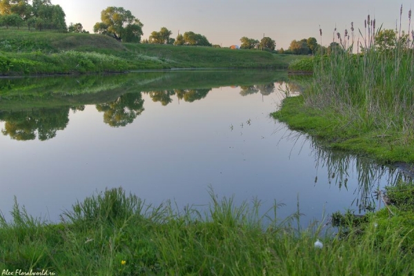 Спокойная вода
Ключевые слова: вечер лето вода пруд небо 