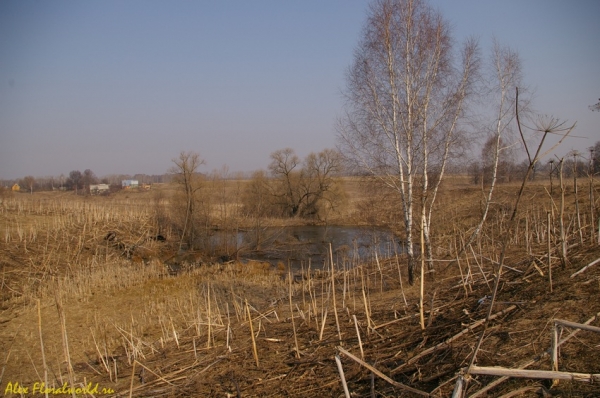 Нежные тона ранней весны
Ключевые слова: солнце тепло весна трава