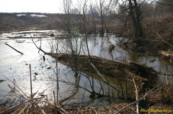 Заросший барский пруд
Ключевые слова: пруд весна вода солнце тепло