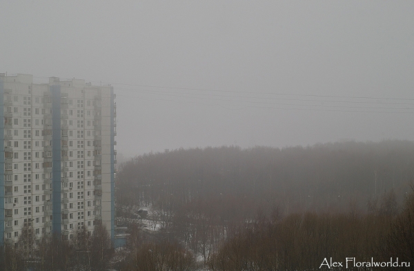 Весна в Москве
Ключевые слова: весна москва