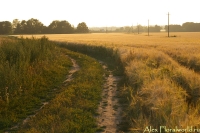 201049.jpg
