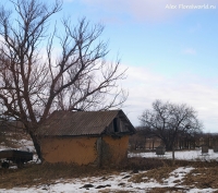 Имя файла=2014_Feb_Pan15.jpg
Размер файла=497КБ
Размеры=1000x887
Дата=Фев 19, 2014 2014_Feb_Pan15.jpg