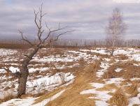 Имя файла=2014_Feb_Pan185.jpg
Размер файла=983КБ
Размеры=1448x1106
Дата=Фев 19, 2014 2014_Feb_Pan185.jpg