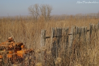 Имя файла=Aprel_11_2010.jpg
Размер файла=425КБ
Размеры=1000x665
Дата=Апр 11, 2010 Aprel_11_2010.jpg