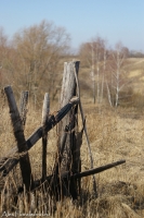 Имя файла=Aprel_15_2010.jpg
Размер файла=310КБ
Размеры=665x1000
Дата=Апр 11, 2010 Aprel_15_2010.jpg