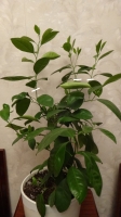 DSC01941.jpg
