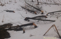 Имя файла=DSC_0011.jpg
Размер файла=237КБ
Размеры=900x578
Дата=Апр 12, 2012 DSC_0011.jpg