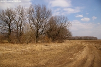 Имя файла=Derevnya_2009_20.jpg
Размер файла=471КБ
Размеры=1000x665
Дата=Апр 26, 2009 Derevnya_2009_20.jpg