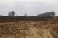 Имя файла=Derevnya_2009_24.jpg
Размер файла=268КБ
Размеры=1000x665
Дата=Апр 26, 2009 Derevnya_2009_24.jpg