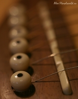 Имя файла=Gitar3.jpg
Размер файла=66КБ
Размеры=532x672
Дата=Фев 03, 2008 Gitar3.jpg