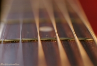 Имя файла=Gitar4.jpg
Размер файла=79КБ
Размеры=800x545
Дата=Фев 03, 2008 Gitar4.jpg