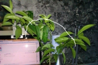 IMAG0923.jpg