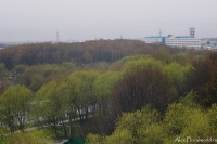 IMGP0281.jpg
