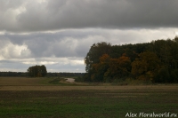 IMGP2439.jpg