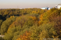 IMGP2494.jpg